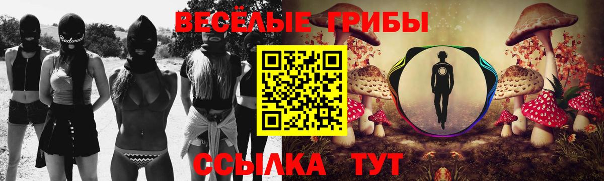 Псилоцибиновые грибы прущие грибы Сертолово